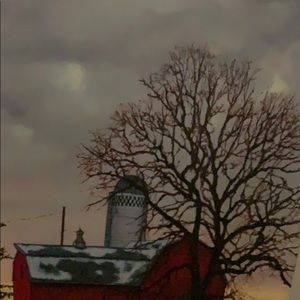 Meet your Posher, Jane yoshica